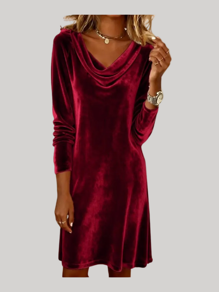 Anna - Velvet Sleeve Dress