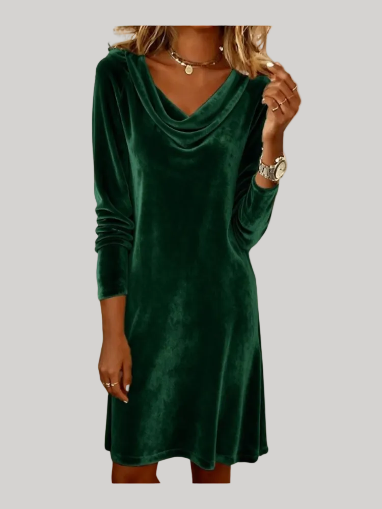 Anna - Velvet Sleeve Dress